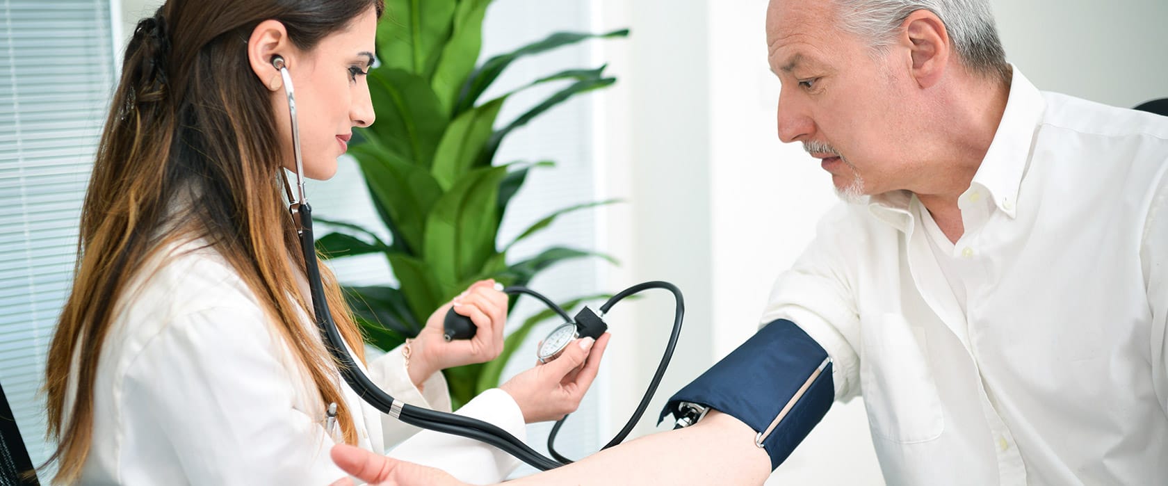 Comida natural y saludable